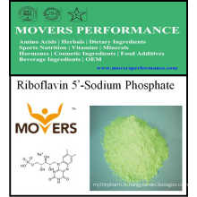 Hot Sell Vitamide Riboflavine 5&#39;-Sodium Phosphate